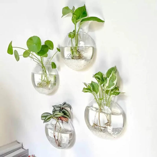 Jardinera terrario de cristal para colgar en la pared – Florero hidropónico de cristal con autorriego para decoración del hogar y la oficina (paquete de 2/4/6)