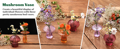 Mini Mushroom Glass Vase Set – Propagation Terrarium for Plants, Flowers & Home Office Décor