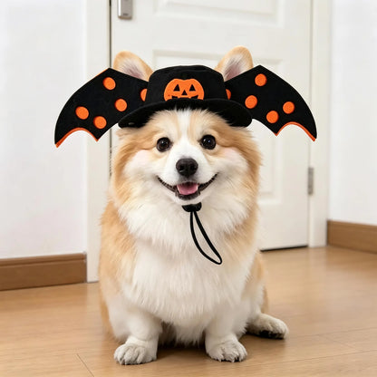Funny Halloween Pet Transformation Costume – Cute Costume Outfit for Small Dogs & Cats, Creative Pet Clothing for Halloween Parties & Dress-Up