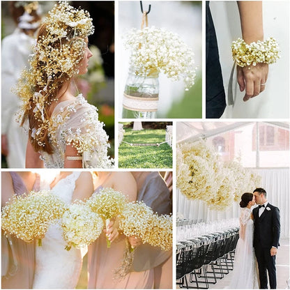 Flores de Paniculata Secas Naturales de 40-50cm – Ramo de Gypsophila Paniculata para Decoración de Bodas, Regalos y Decoración Floral del Hogar