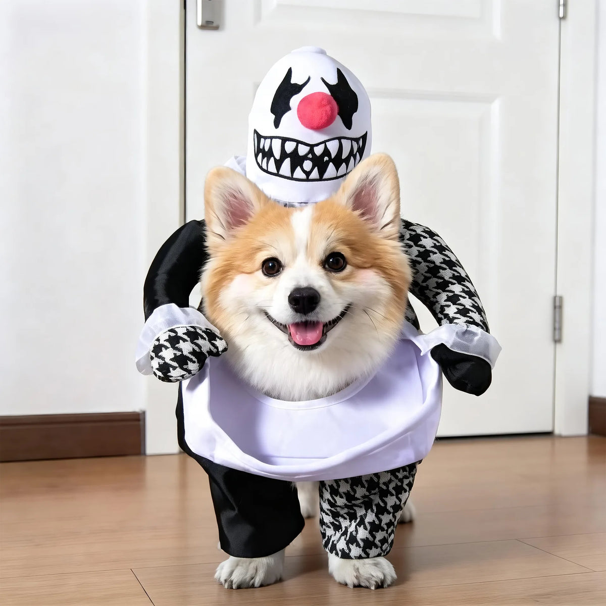 Funny Halloween Pet Transformation Costume – Cute Costume Outfit for Small Dogs & Cats, Creative Pet Clothing for Halloween Parties & Dress-Up