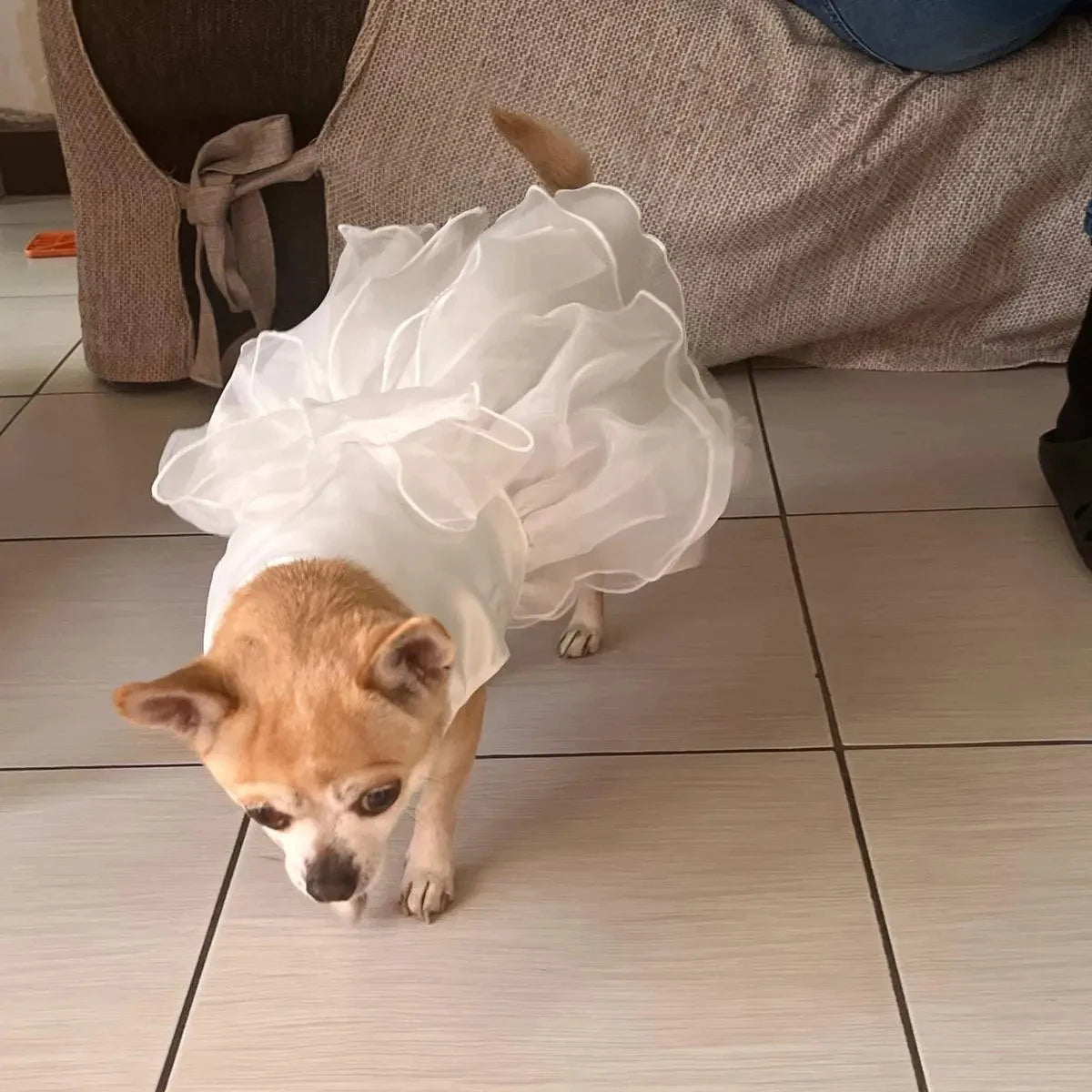 White Dog Wedding Dress – Elegant Bridesmaid & Princess Costume for Small Dogs, Puppy Party Outfit for Pomeranian & Chihuahua