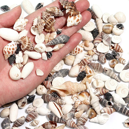 1 Box Tiny Sea Shells – Natural Spiral Seashell & Mini Conch Craft Pieces for Aquarium Decoration, Landscaping, DIY Crafts & Photography Props