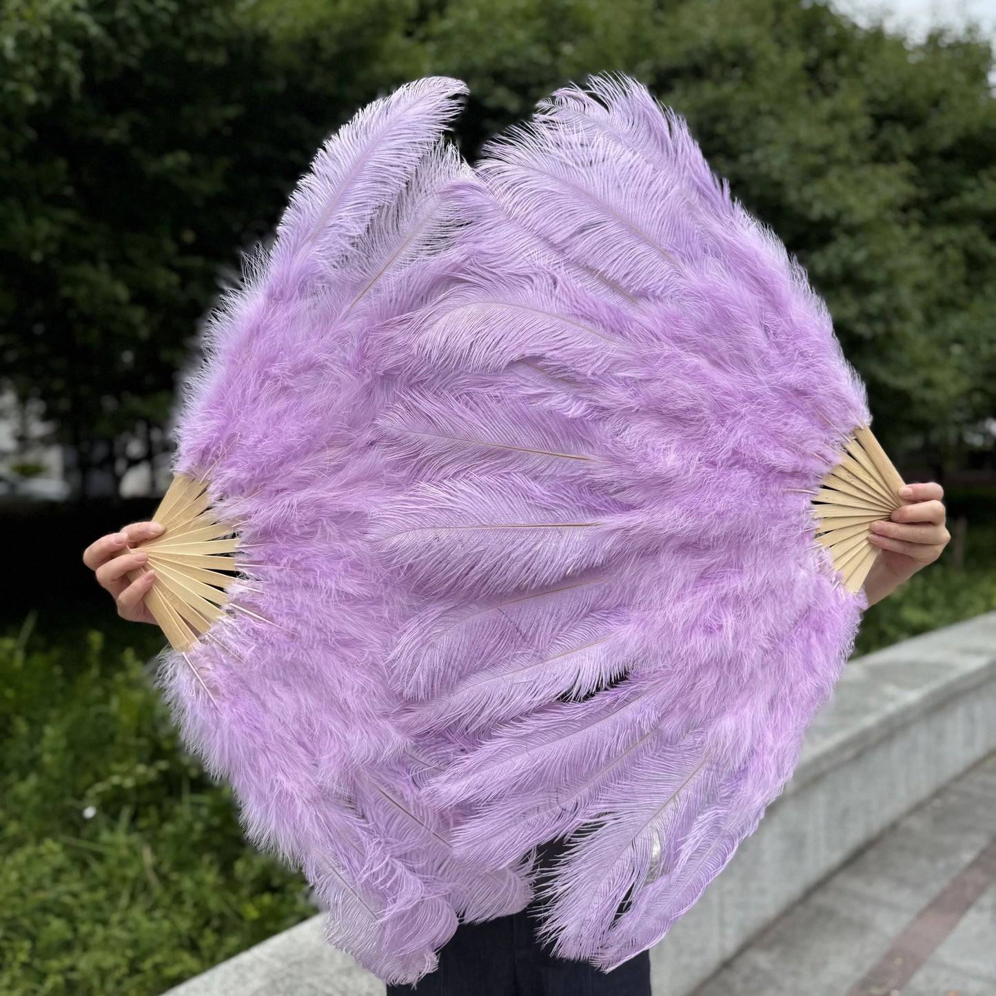 Abanico Grande de Plumas de Avestruz Blancas – Elegante Abanico para Baile y Actuaciones Escénicas (100 cm / 130 cm)