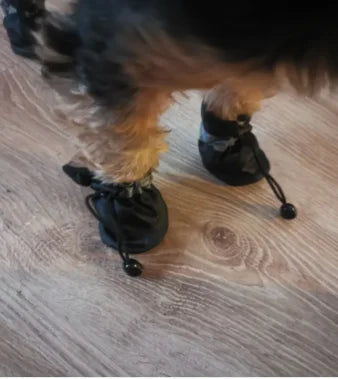 Bottes de pluie imperméables pour chien (lot de 4) – Chaussures antidérapantes pour petits chiens, chiots et chats