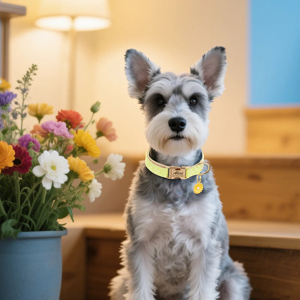 Custom Bling Nylon Dog Collar – Personalized Engraved ID Name Collar with Cute Flower Tag for Small & Medium Dogs and Cats