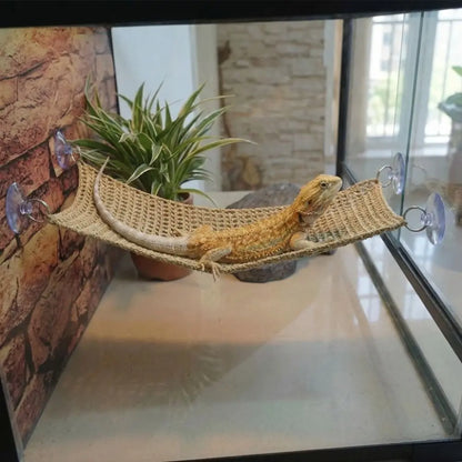 Reptile Climbing Hammock with Suction Cups – Breathable Mesh Hanging Net & Resting Bed for Lizards, Geckos & Small Reptiles