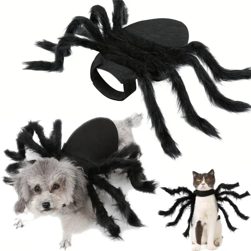Cat Bat Wing Halloween Costume – Pet Bat Costume Dress with Wings for Cats & Small Dogs, Spooky Party Outfit