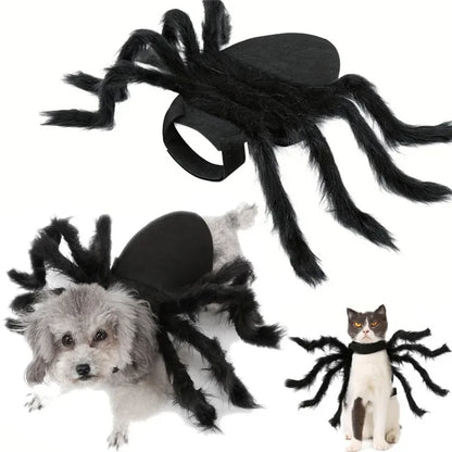 Cat Bat Wing Halloween Costume – Pet Bat Costume Dress with Wings for Cats & Small Dogs, Spooky Party Outfit