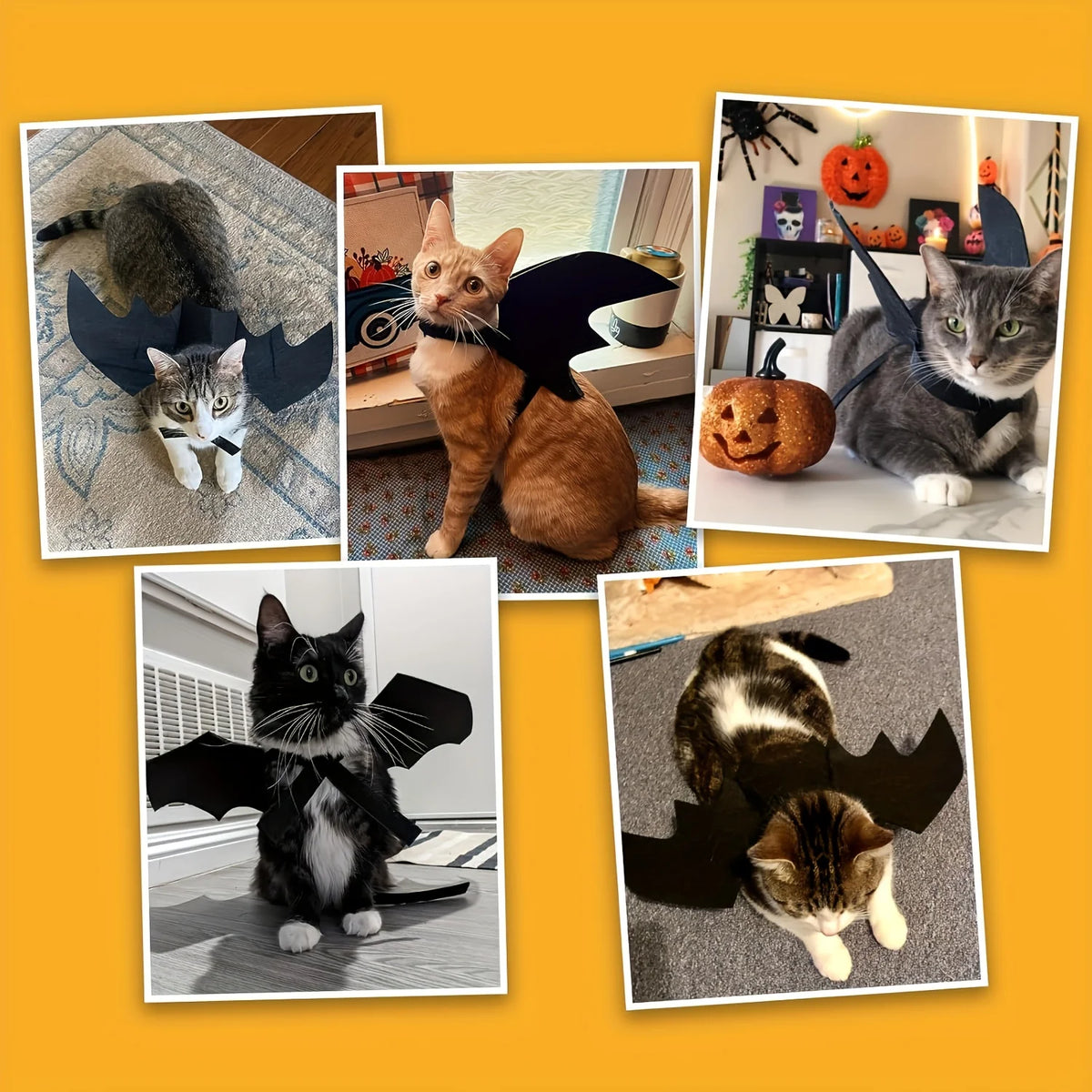 Pet Bat Wings Costume – Adjustable Soft Polyester Bat Wing Cosplay Outfit for Cats & Small Dogs, Cute Halloween Party Costume