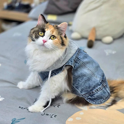 Cool Dog Denim Jacket Vest – Hooded Jean Coat with D-Ring for Small & Medium Dogs, Puppy Harness Vest for Spring Walks