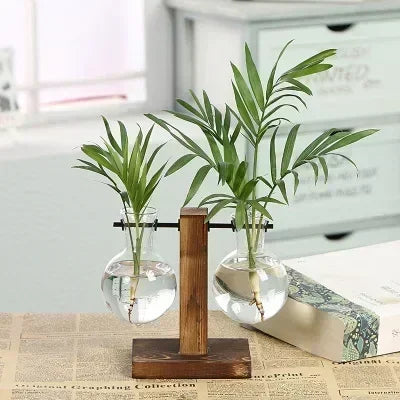 Glass Hydroponic Plant Terrarium Vase – Desktop Planter for Home, Office & Indoor Greenery Décor
