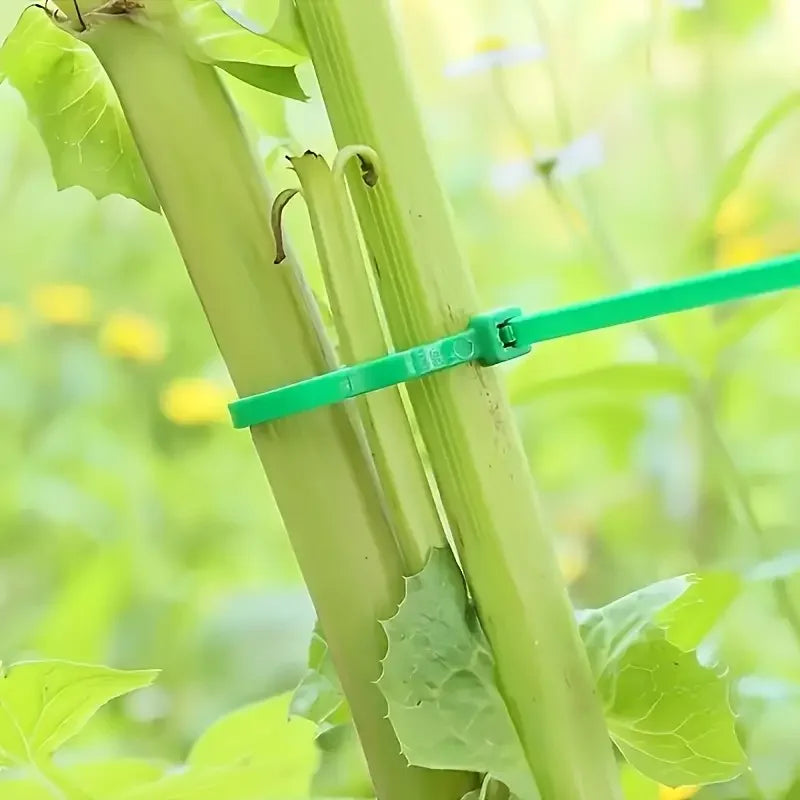 Reusable Garden Cable Ties – Adjustable Nylon Plant Support Straps for Vines, Trees, Shrubs, Gardening Fasteners, Cable Management & Outdoor Organization