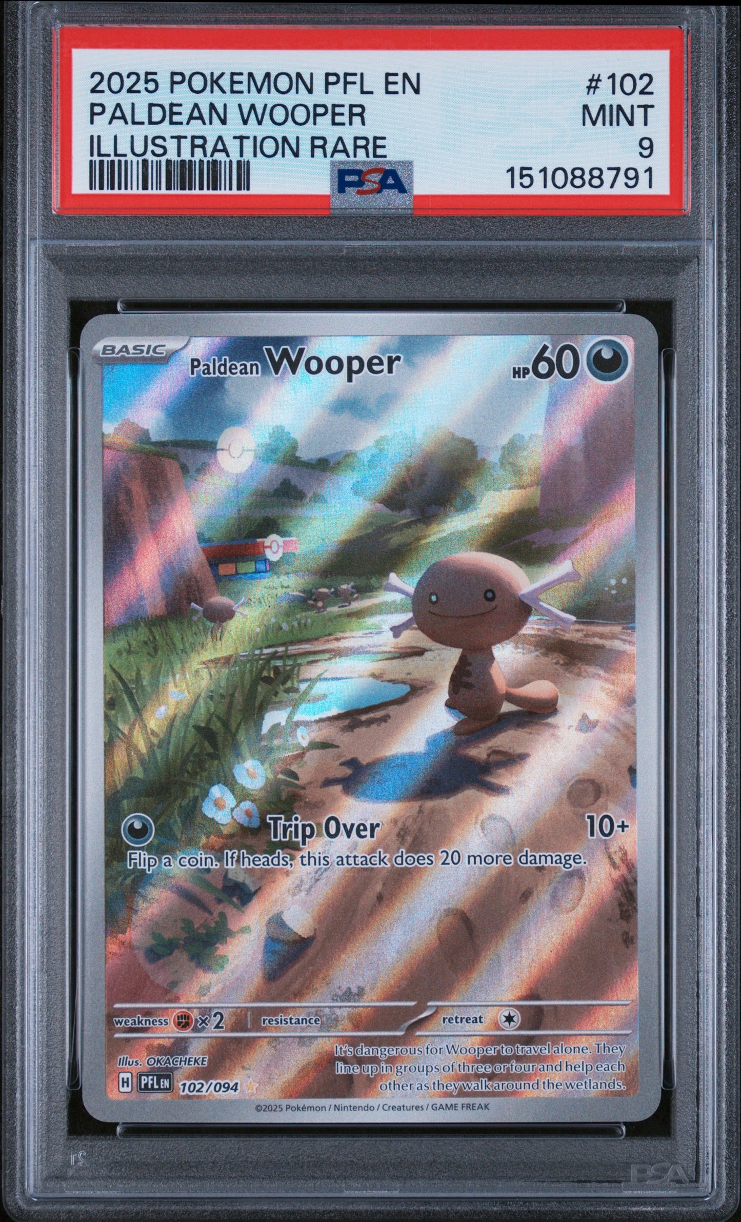 Paldean Wooper #102/094 Phantasmal Flames 2025 PSA 9