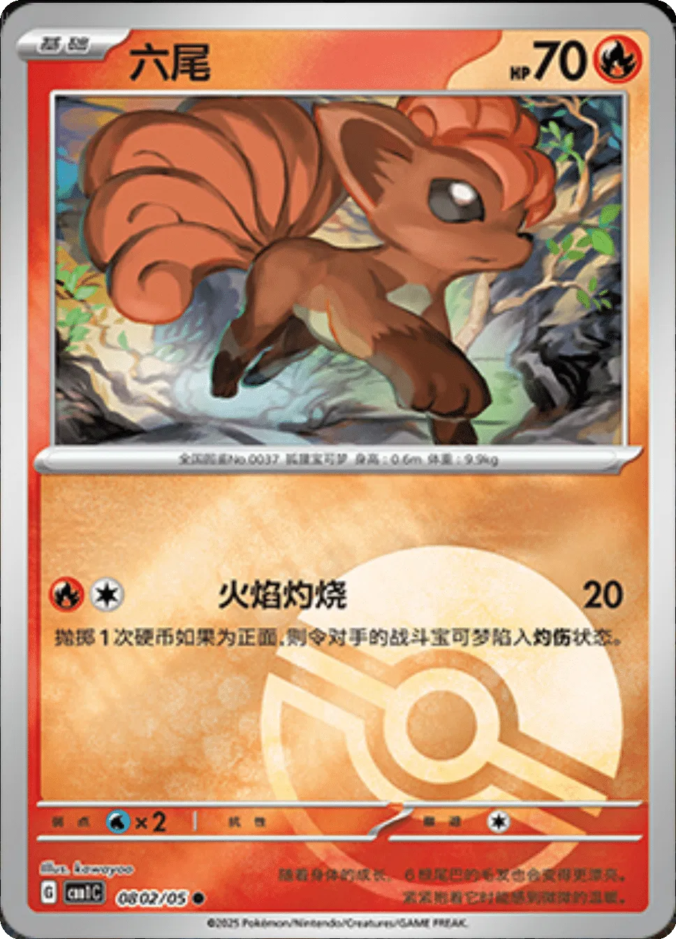 Goupix (Motif Poké Ball) (CN) 0802/05 - NM