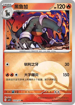 Houndoom (Patrón de Poke Ball) (CN) 0502/07 - NM