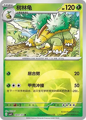 Grotle CN 0801/07 - NM